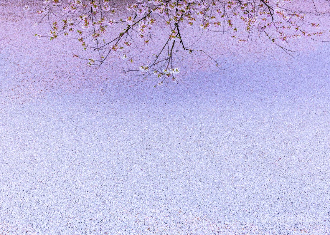 弘前城