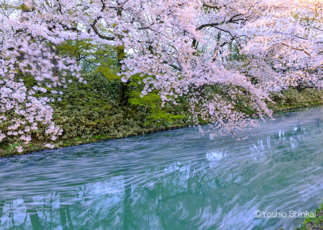弘前城