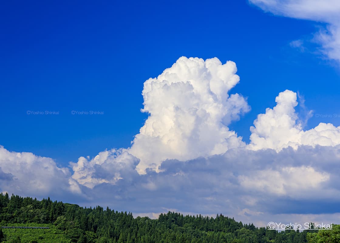 入道雲