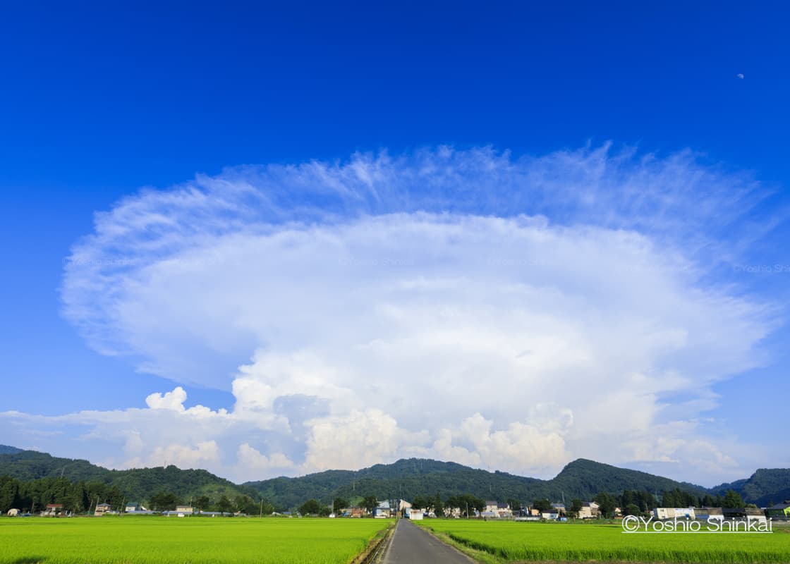 かなとこ雲