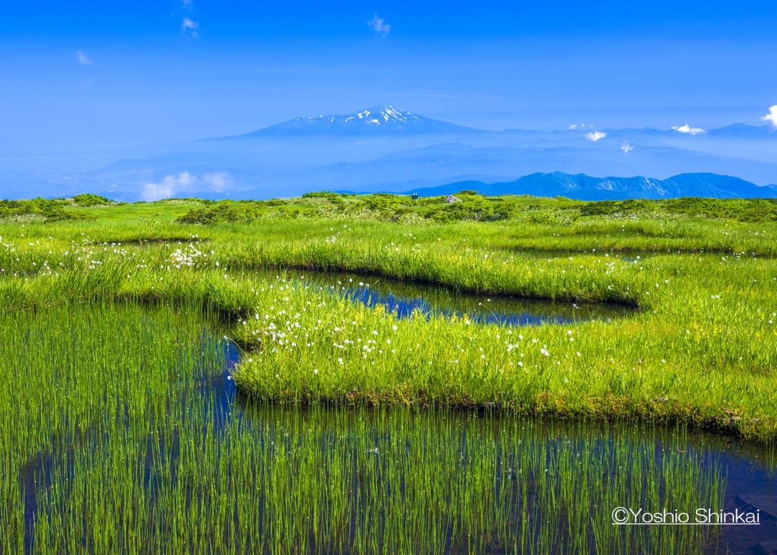 月山弥陀ヶ原