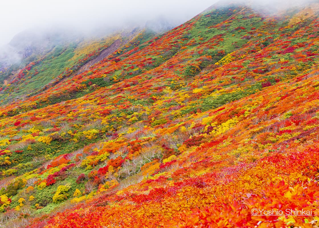 栗駒山