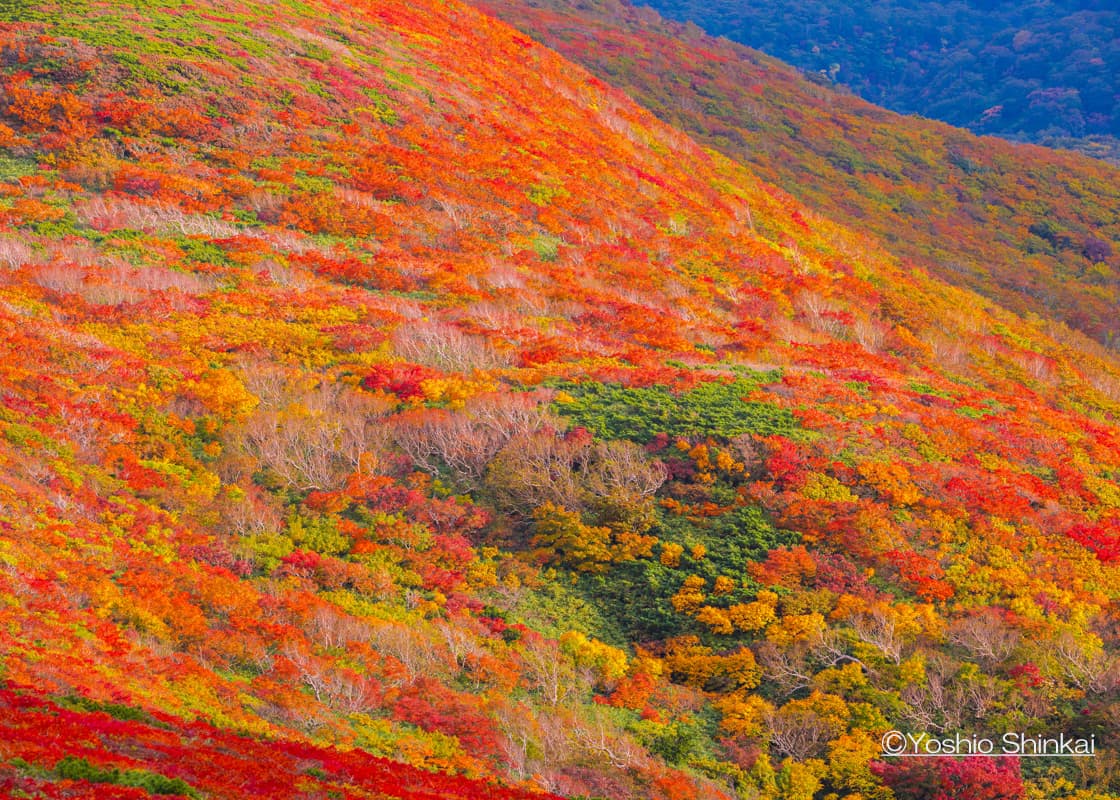 栗駒山
