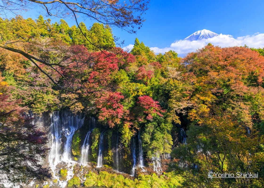 季節風景 季節風景