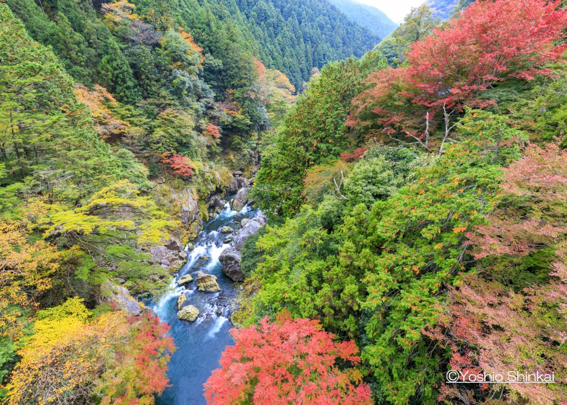 鳩ノ巣渓谷