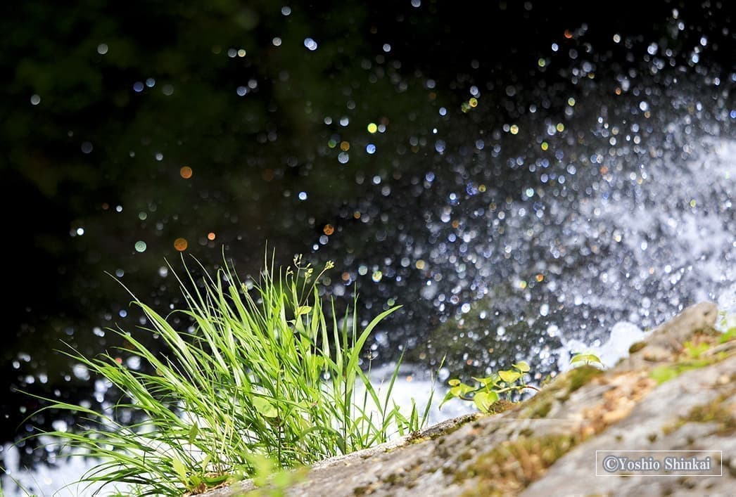 水の装飾