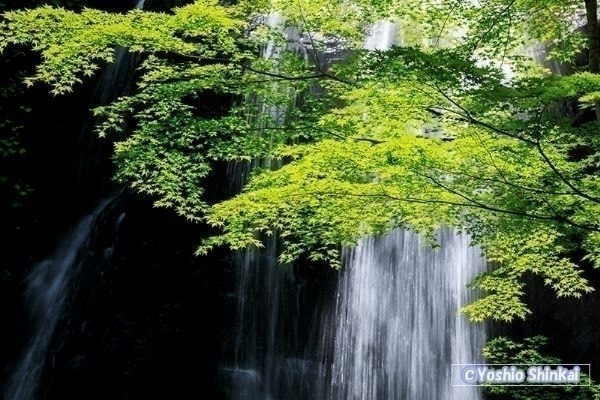 岐阜県　宇津江四十八滝