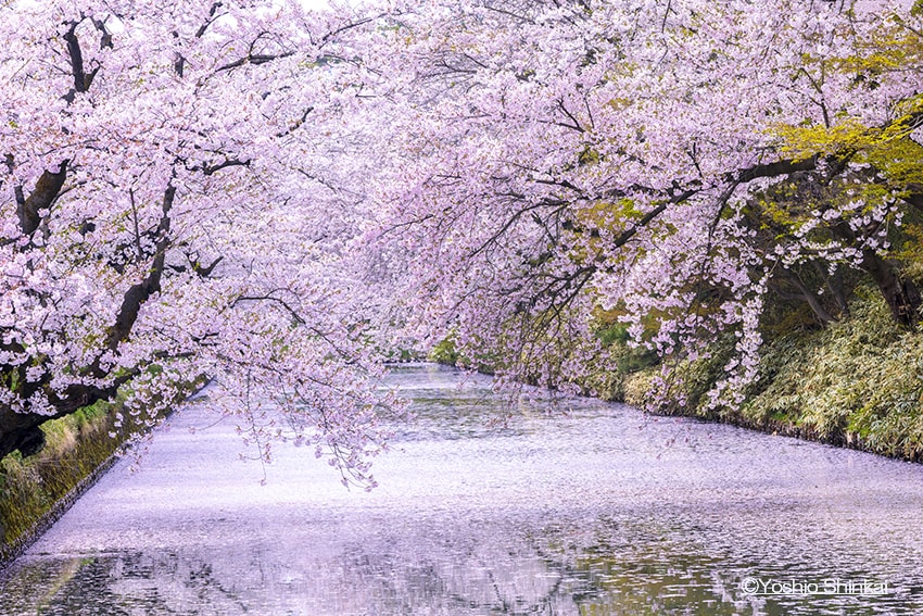 風景エンタメ/ホビー