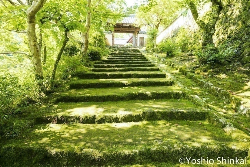 山門の道