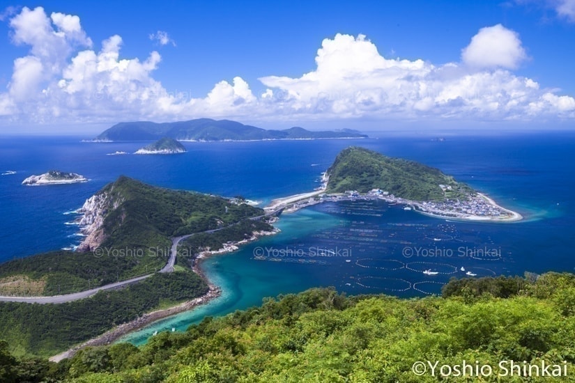 大堂の柏島
