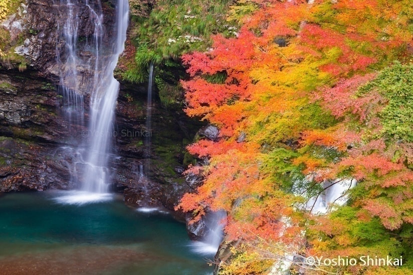 秋の大轟の滝