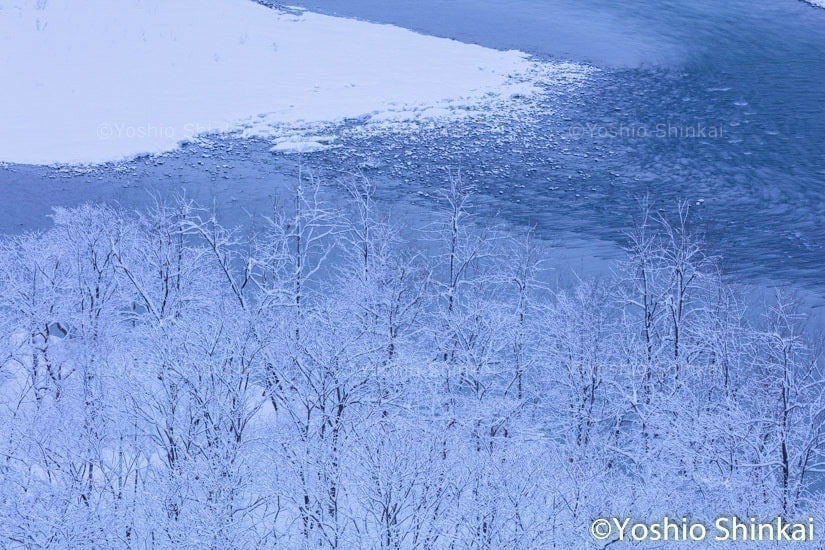 雪の信濃川