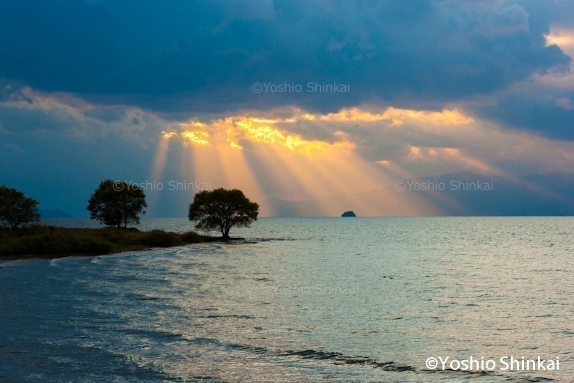 琵琶湖の光芒
