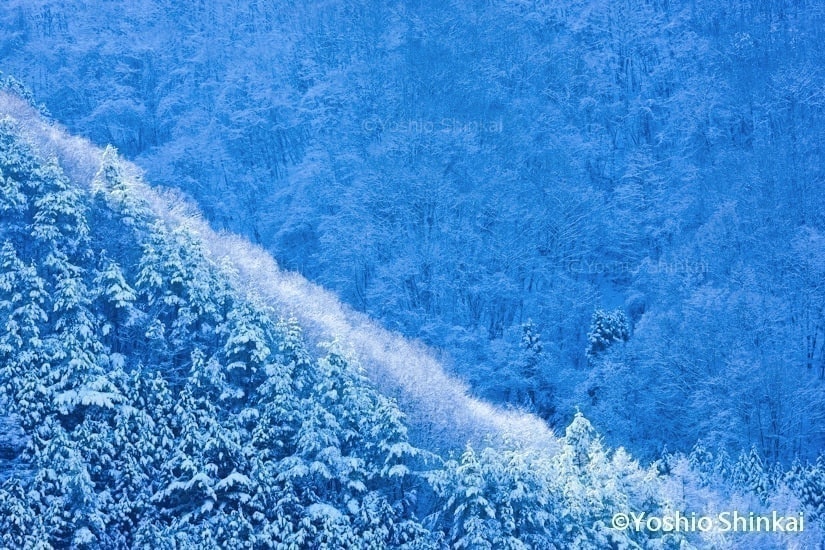 霧氷と光