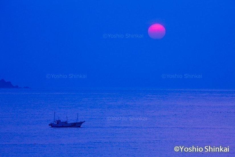朝の海