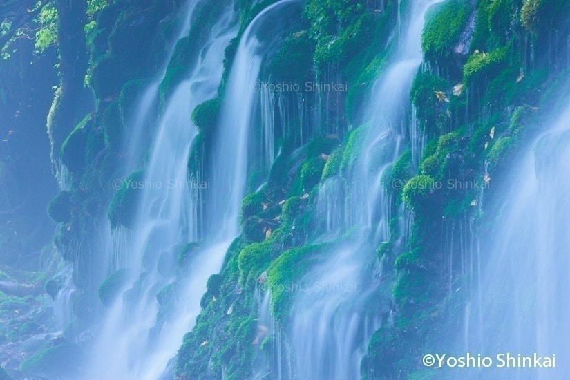 苔清水　元滝