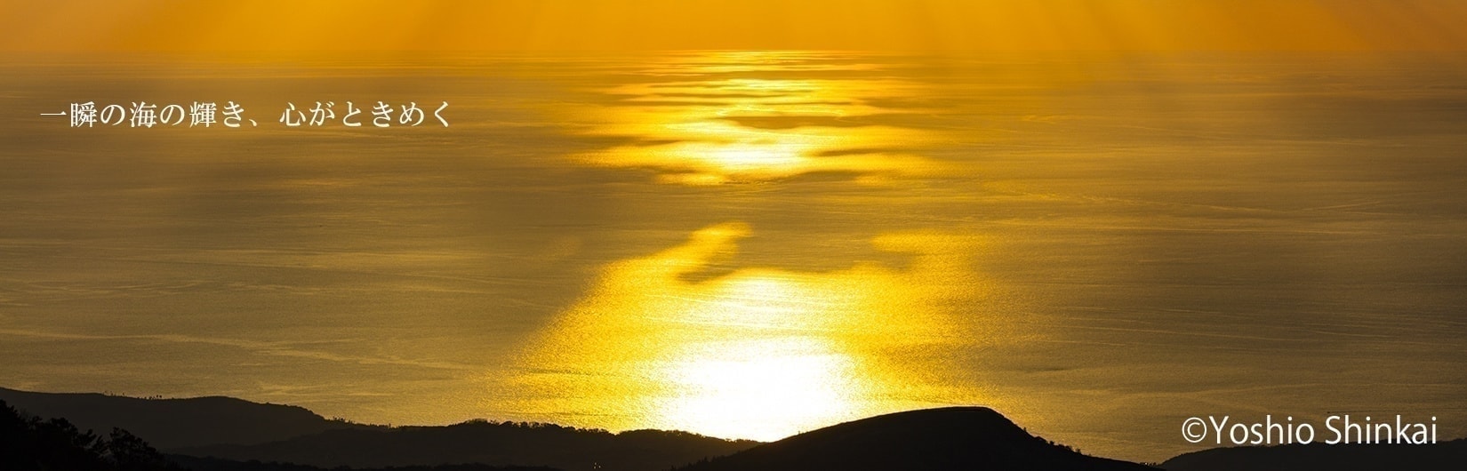 日本海の海の輝き