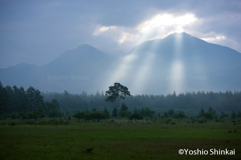 小田代ヶ原の光芒