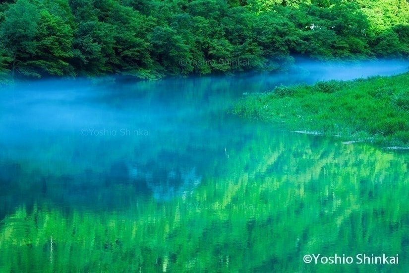 もやが流れる九頭竜川