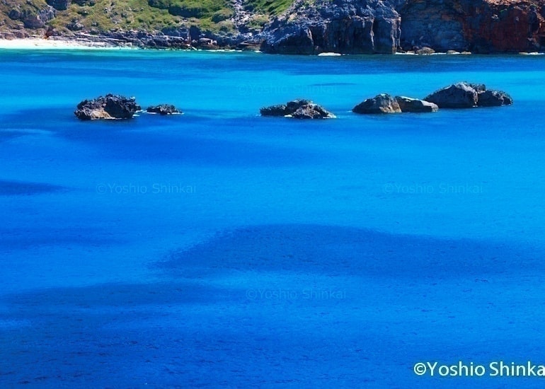 夏の海