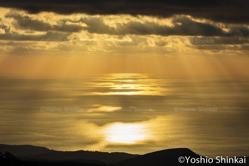 日本海の輝き