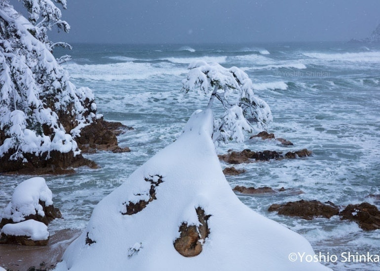 雪の浦富海岸