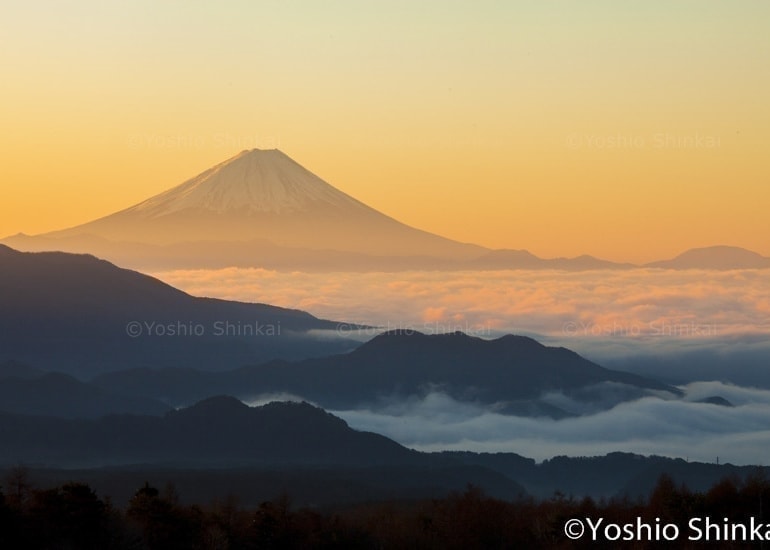 雲海と富士山