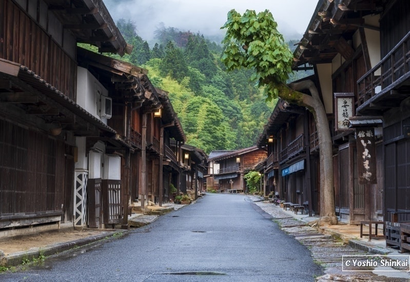 桜と水田の農作業