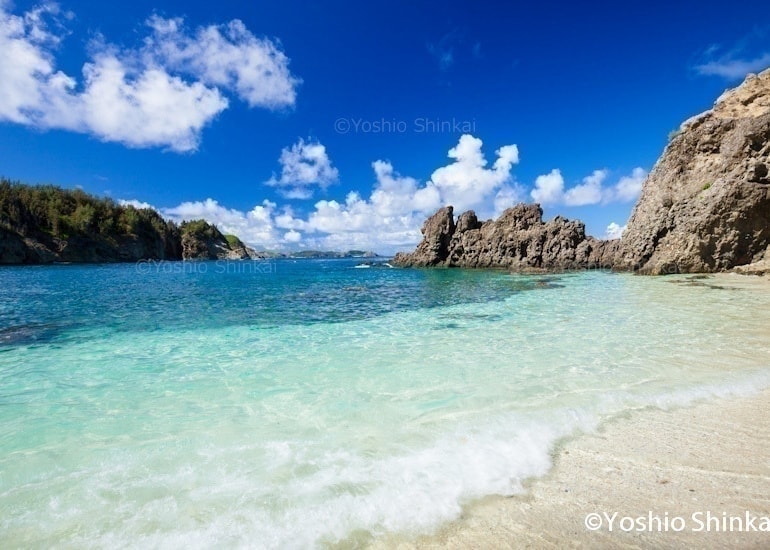 蓬莱浜の海