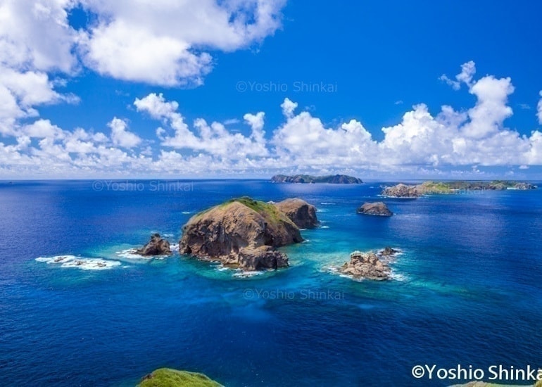 南崎の海