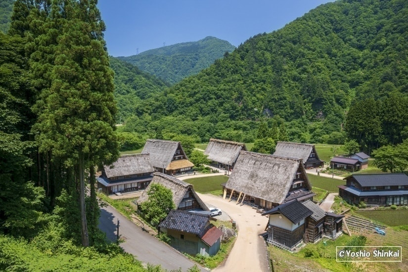 菅沼合掌造り集落
