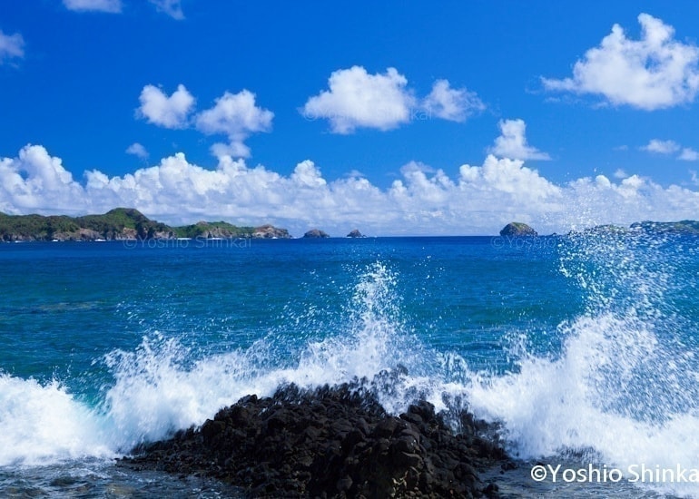 海と岩礁の波