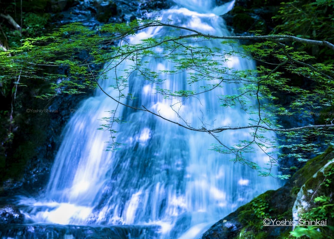 宇津江四十八滝