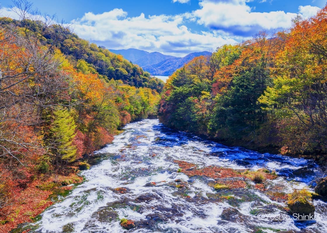 日光　竜頭の滝