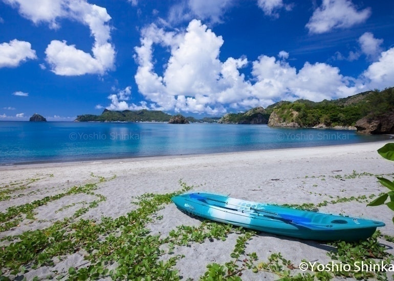 扇浦の海