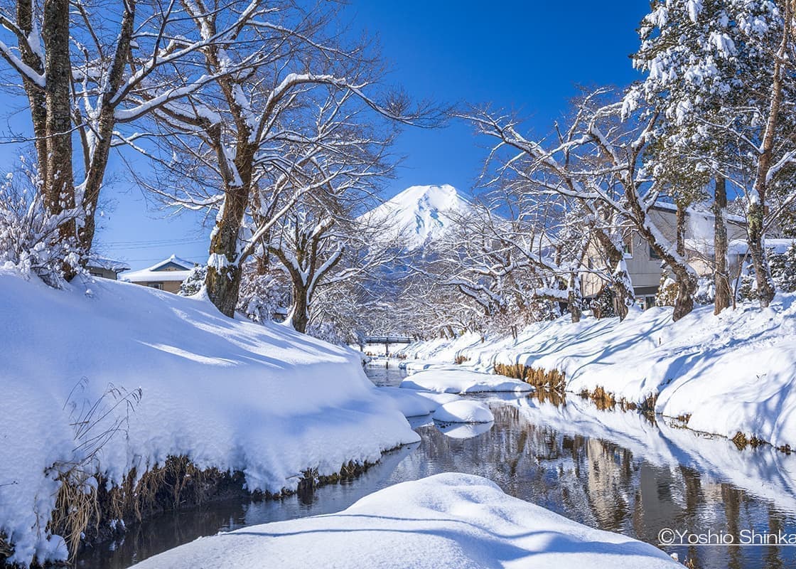 忍野の富士山