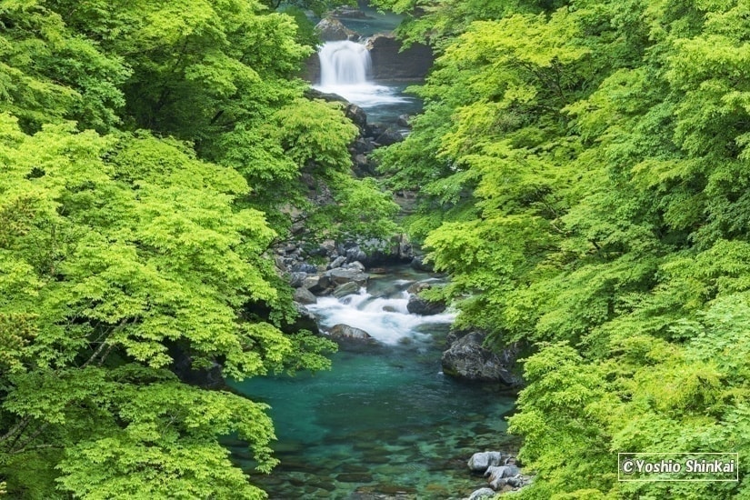 付知峡