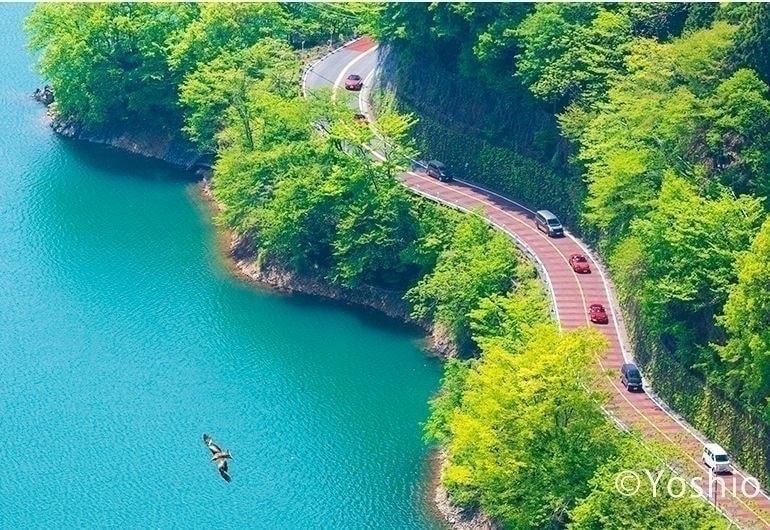 奥多摩湖の道