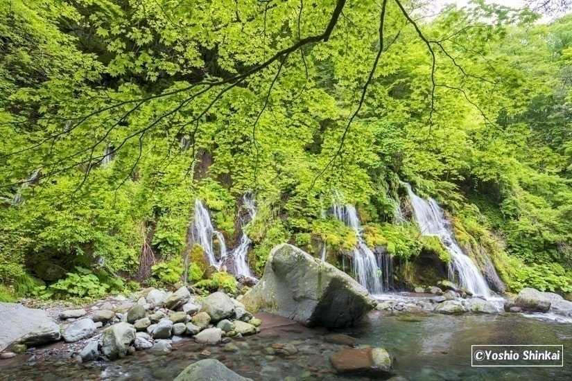 吐竜の滝3