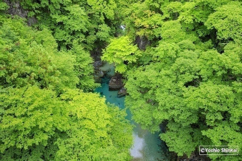 付知峡
