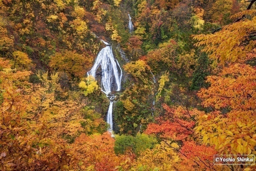 七ツ滝