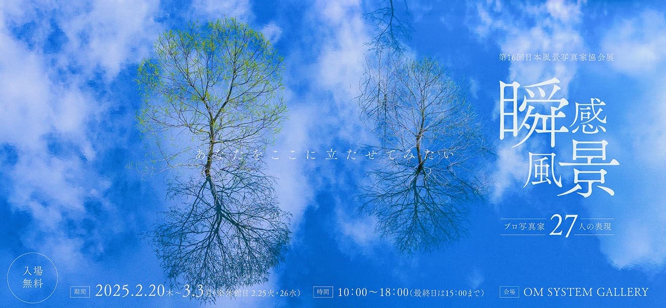 写真展DM